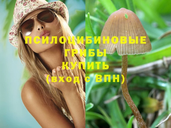 а пвп мука Алексеевка