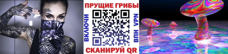 закладка Новоуральск Псилоцибиновые грибы прущие грибы